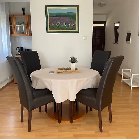Apartment Emi Novigrad