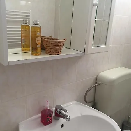 Apartment Emi Novigrad *