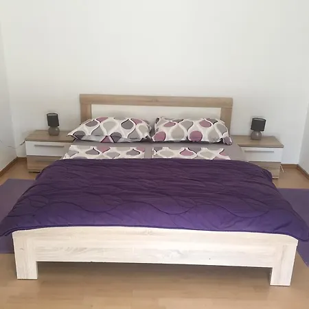Apartment Emi Novigrad