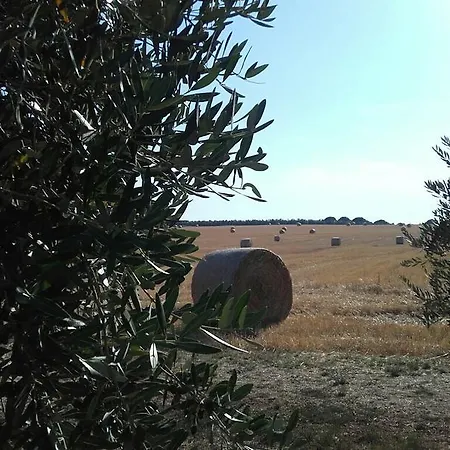Emi Novigrad * Novigrad Istria